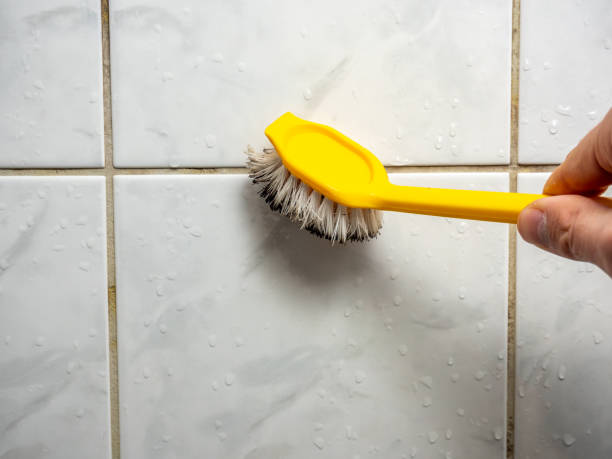 Best Emergency Mold Removal  in Old Westbury, NY