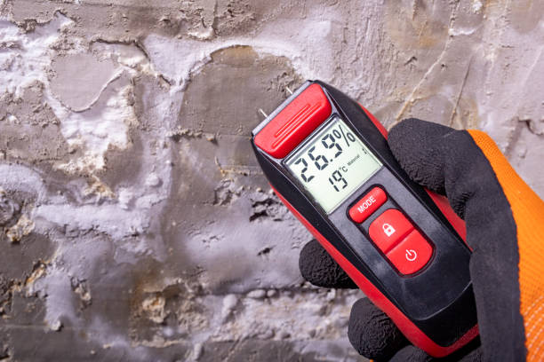 Best Mold Damage Repair  in Old Westbury, NY