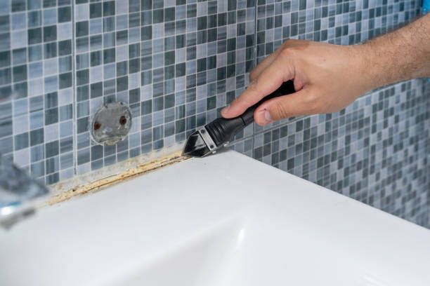 Best Mold Cleaning Services  in Old Westbury, NY